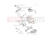 KAWASAKI 2010 Fuel Injection
