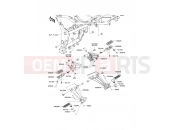 KAWASAKI 2011 Footrests