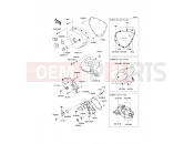 KAWASAKI 2011 Left Engine Cover(s)