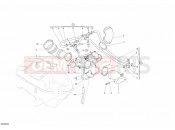 DUCATI Sportclassic GT1000 THROTTLE BODY » INTAKE, CARBURETTOR