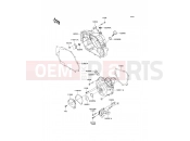 KAWASAKI 2012 Engine Cover(s)
