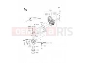 KAWASAKI 2013 Throttle