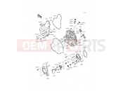 KAWASAKI 2014 Engine Cover(s)