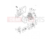 KAWASAKI 2014 Engine Cover(s)