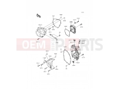 KAWASAKI 2014 Engine Cover(s)