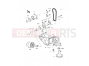 KAWASAKI 2015 Oil Pump