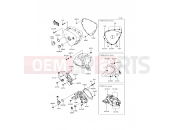 KAWASAKI W800 (EJ800AFFA) Left Engine Cover(s)