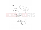 KAWASAKI W800 (EJ800AFFA) Labels