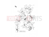 KAWASAKI 2015 Cowling Lowers