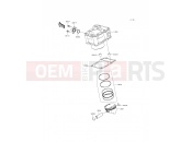 KAWASAKI 2016 Cylinder/Piston(s)