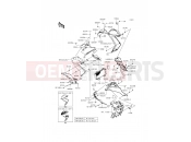 KAWASAKI 2016 Cowling Lowers