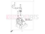 KAWASAKI 2019 Throttle