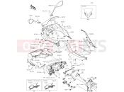 KAWASAKI 2019 Cowling