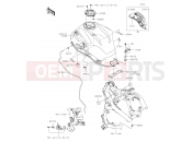KAWASAKI 2019 Fuel Tank