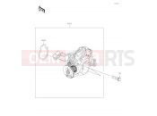 KAWASAKI 2019 Throttle