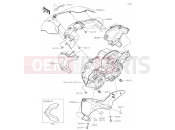 KAWASAKI 2019 Cowling