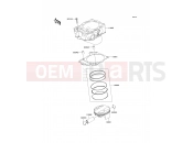 KAWASAKI 2009 Cylinder/Piston(s)