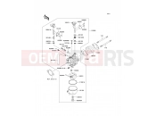 KAWASAKI 2009 Carburetor