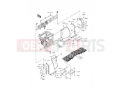 KAWASAKI MULE PRO-DXT (KAF1000CHF) Guard(s)