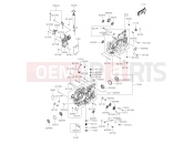 KAWASAKI 2019 Crankcase