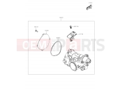KAWASAKI 2019 Throttle