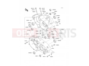 KAWASAKI 2007 Crankcase