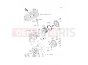 KAWASAKI 2009 Oil Pump