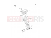 KAWASAKI 2009 Cylinder/Piston(s)