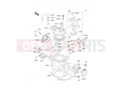 KAWASAKI 2009 Cylinder Head/Cylinder