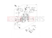 KAWASAKI 2010 Throttle