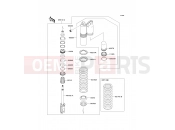 KAWASAKI 2010 Shock Absorber(s)
