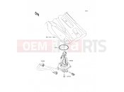 KAWASAKI 2013 Fuel Pump
