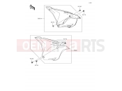 KAWASAKI 2019 Side Covers