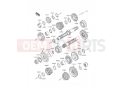 KAWASAKI ER-5 (ER500-B4) Transmission