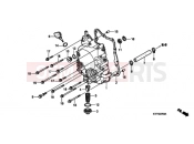 HONDA SH1256 ED / 2ED 2006 E-7 RIGHT CRANKCASE COVER
