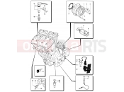 MV Agusta 2006 F4 Veltro Pista Engine Electric System