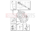 MV Agusta 2007 F4 Claudio Castiglioni Lubrication System