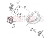 KTM 505 SX   ATV (8500LQ) [EU] 2012 WATER PUMP