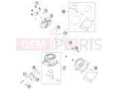 KTM 50 SX MINI (6001L5) [EU] 2012 CYLINDER, CYLINDER HEAD