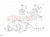 DUCATI 2006 Superbike 749 Dark WIRING HARNESS » WIRING HARNESS