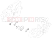 KTM 525 XC ATV (8501IQ) [EU] 2009 BALANCER SHAFT