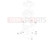KTM 525 XC ATV (8501IQ) [EU] 2009 CYLINDER