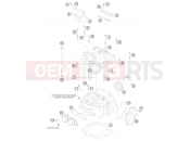 KTM 525 XC ATV (8501IQ) [EU] 2009 CYLINDER HEAD