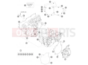 KTM 250 EXC   SIX-DAYS (7303I2) [EU] 2009 ENGINE CASE
