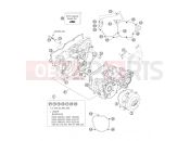 KTM 250 SX (6301G0) [EU] 2007 ENGINE CASE