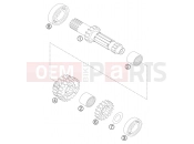 KTM 450 SX STEVE RAMON (8401E9) [EU] 2005 TRANSMISSION I - MAIN SHAFT