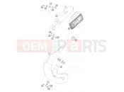 KTM 50 SX  PRO JUNIOR  LC (6001E3) [EU] 2005 EXHAUST SYSTEM