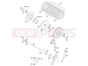 KTM 450 SX RACING (840135) [EU] 2003 CLUTCH