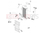 KTM 65 SX (600136) [EU] 2003 COOLING SYSTEM