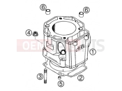 KTM 640 LC4-E ROT (972626) [EU] 2002 CYLINDER